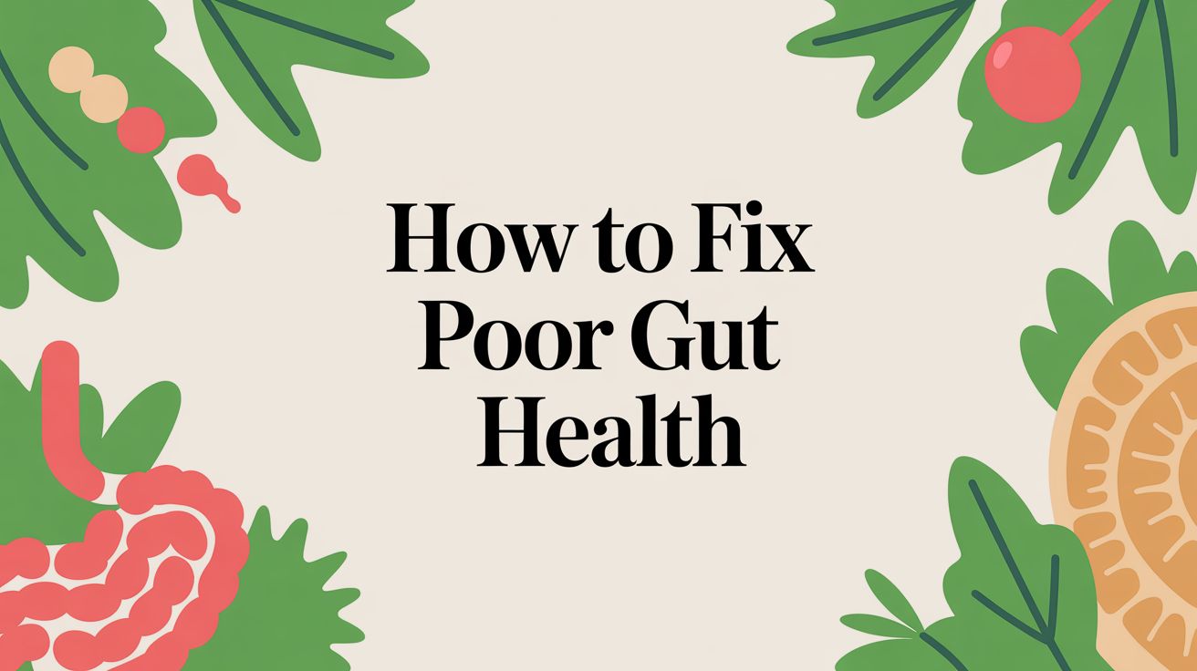 How to Fix Poor Gut Health - Matevara
