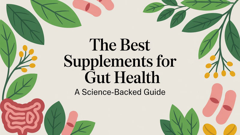 The Best Supplements for Gut Health: A Science-Backed Guide - Matevara