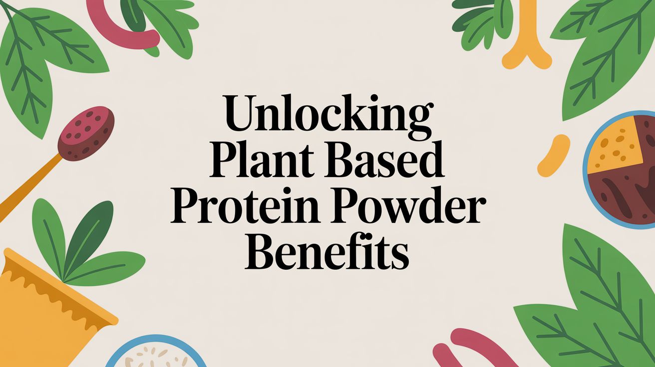 Unlocking Plant Based Protein Powder Benefits for 2026 - Matevara