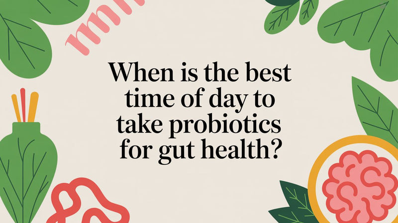 When Is the Best Time of Day to Take Probiotics for Gut Health? - Matevara
