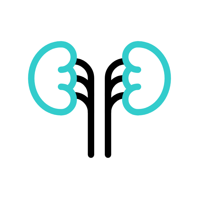 Kidney Health