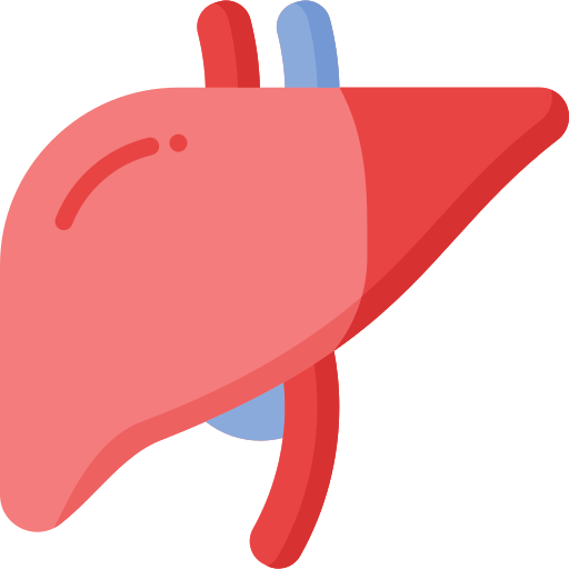 Liver Health - Matevara