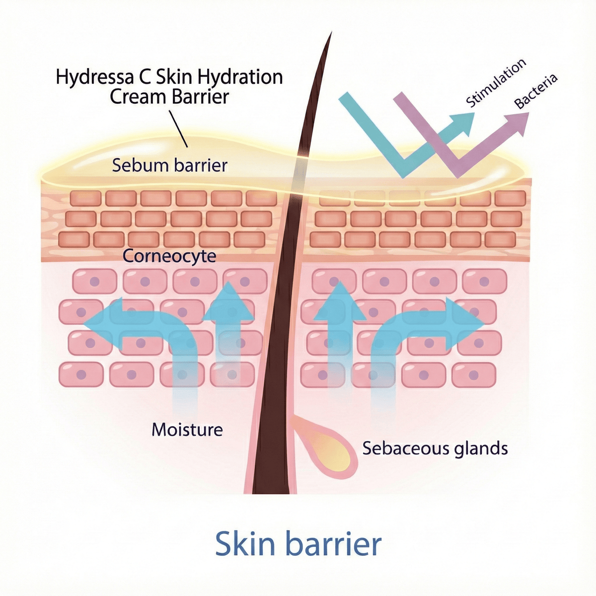 Hydressa C Skin Hydration Cream | Hyaluronic Acid + Vitamin E | Moisturizing Face & Body Cream | 2 oz - Matevara