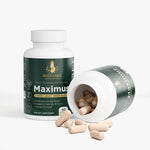 Maximus - Horny Goat Weed Blend - Matevara