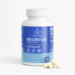 Neureva Cognitive Support | Brain Health with Bacopa, GABA, L - Tyrosine & Alpha GPC | Nootropic Capsules | 30 Count - Matevara
