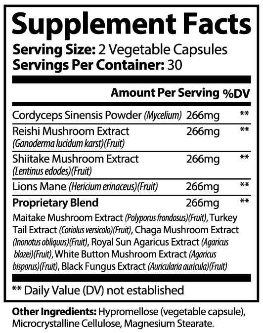 Vital Mushroom Complex 10X – Boost Immunity, Focus & Overall Wellness - Matevara